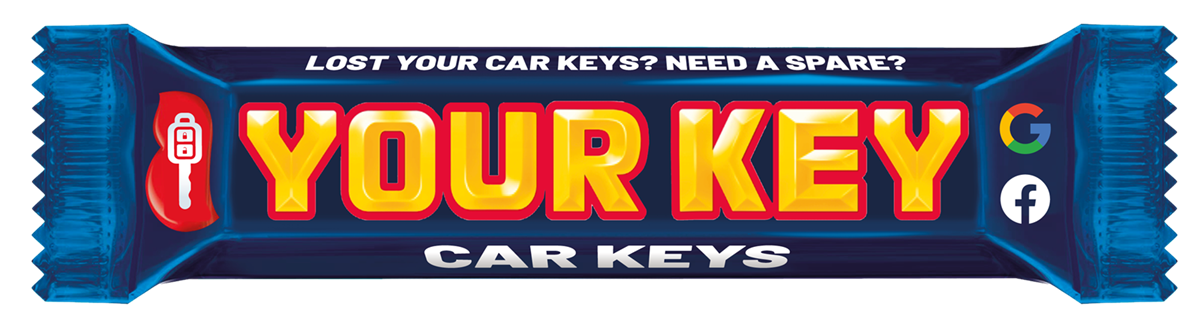 Yorkie Car Keys